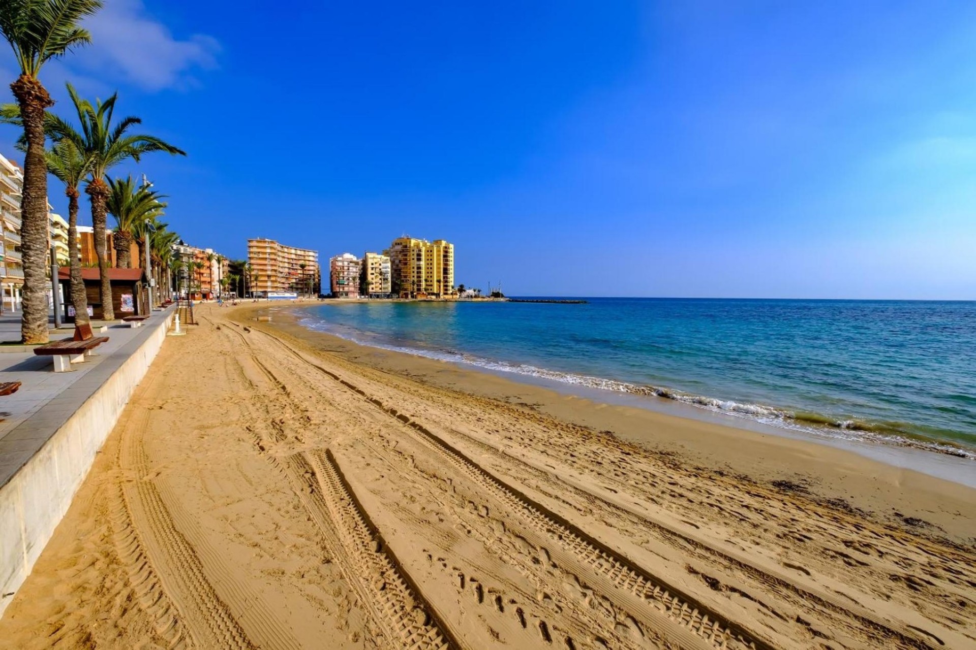 Alquiler a corto plazo - Apartment -
Torrevieja - CENTRE