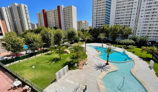 Apartment - Återförsäljning - Benidorm - Benidorm