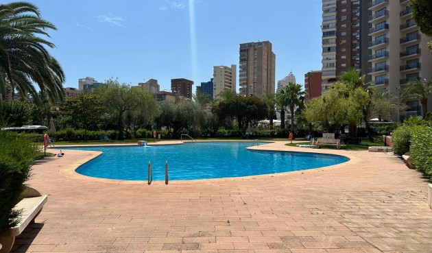 Apartment - Återförsäljning - Benidorm - Costa Blanca