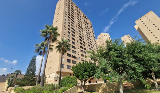 Apartment - Återförsäljning - Benidorm - Costa Blanca