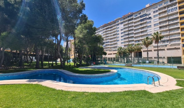 Apartment - Återförsäljning - Orihuela Costa - Campoamor