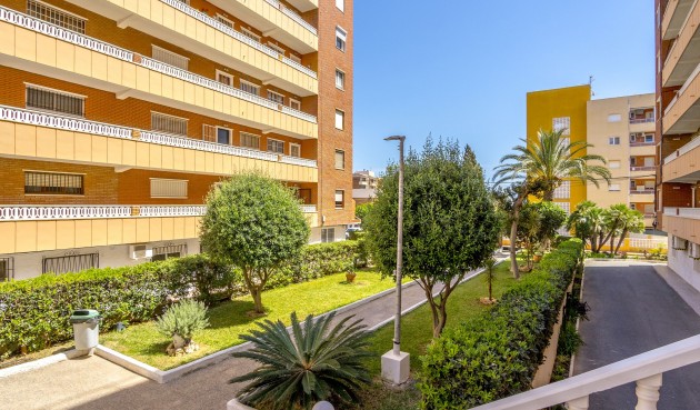 Apartment - Återförsäljning - Punta Prima - Costa Blanca