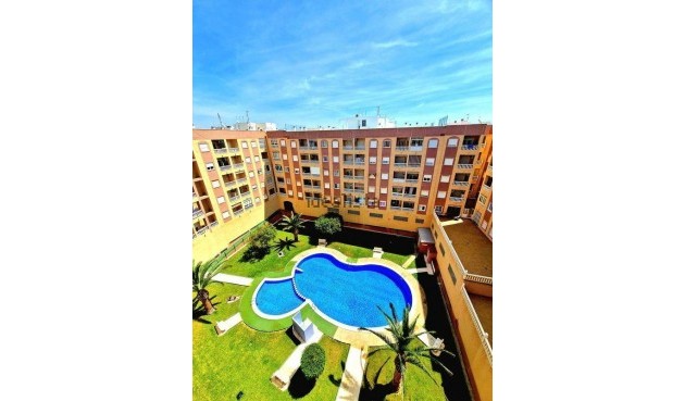 Apartment - Återförsäljning - Torrevieja - Centro