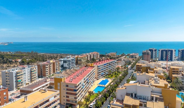 Apartment - Återförsäljning - Torrevieja - Costa Blanca