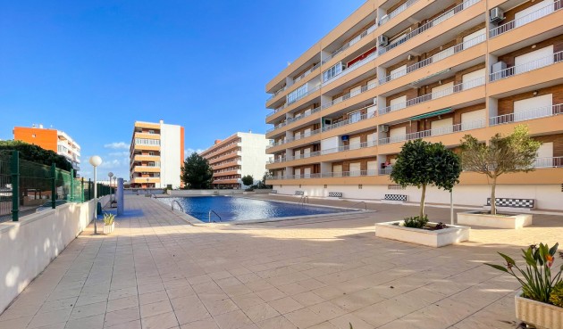 Apartment - Återförsäljning - Torrevieja - Costa Blanca