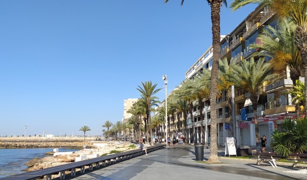 Apartment - Återförsäljning - Torrevieja - DOWNTOWN