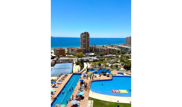 Apartment - Brukt - Benidorm - Costa Blanca