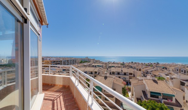 Apartment - Brukt - Guardamar del Segura - Costa Blanca