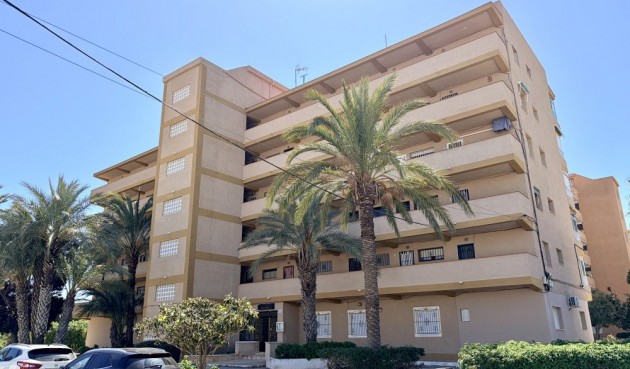 Apartment - Brukt - Guardamar del Segura - Costa Blanca
