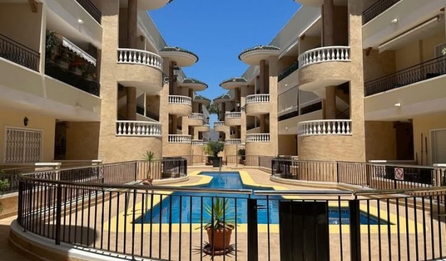 Apartment - Brukt - Jacarilla -
                Inland