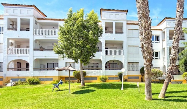 Apartment - Brukt - Orihuela Costa - BO-40346