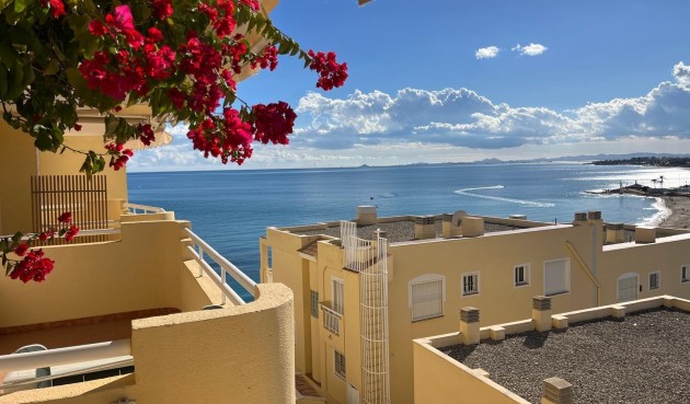 Apartment - Brukt - Orihuela Costa - Campoamor