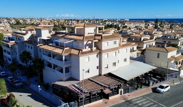 Apartment - Brukt - Orihuela Costa - Costa Blanca