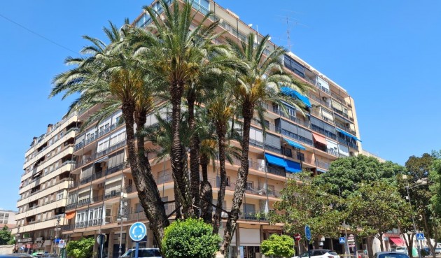 Apartment - Brukt - Orihuela - Zona Centro