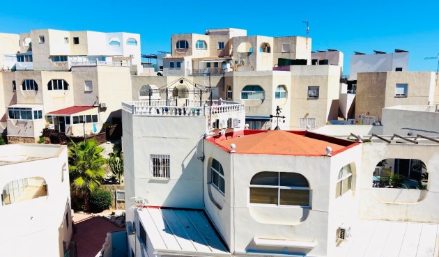 Apartment - Brukt - San Miguel de Salinas - Inland