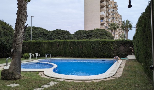 Apartment - Brukt - Torrevieja - Costa Blanca