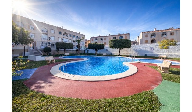 Apartment - Brukt - Torrevieja - Costa Blanca