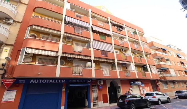 Apartment - Brukt - Torrevieja -
                Costa Blanca