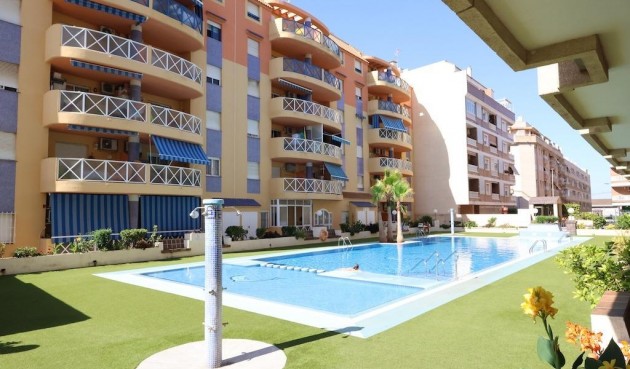 Apartment - Brukt - Torrevieja - Costa Blanca