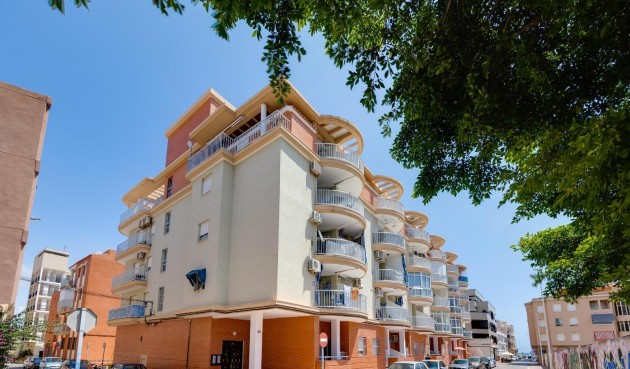 Apartment - Brukt - Torrevieja -
                La Mata Pueblo