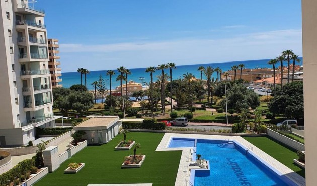 Apartment - Brukt - Torrevieja - La Mata