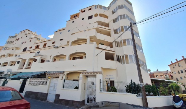 Apartment - Brukt - Torrevieja -
                Nueva Torrevieja