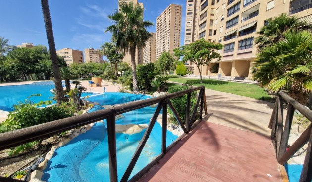 Apartment - Resale - Benidorm - BO-20867