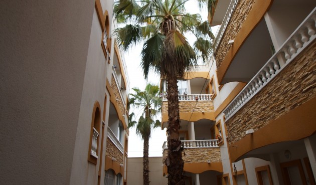 Apartment - Resale - Formentera del Segura - Costa Blanca