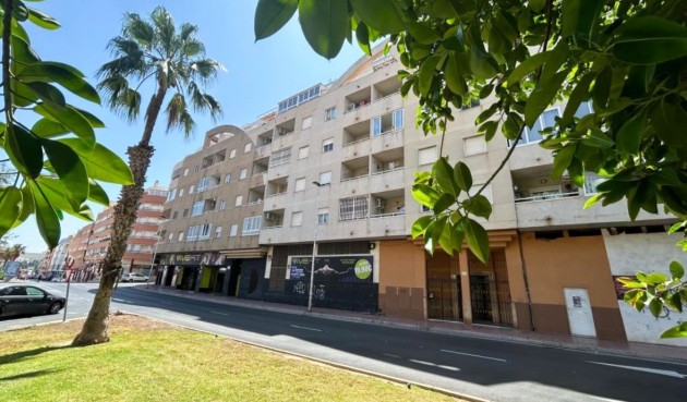 Apartment - Resale - Torrevieja - Costa Blanca