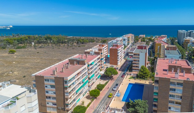 Apartment - Resale - Torrevieja - Costa Blanca