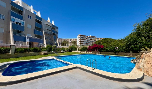 Apartment - Resale - Torrevieja - Gaspar Perrelló