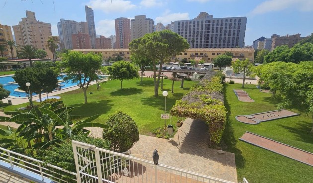 Apartment - Reventa - Benidorm - Benidorm