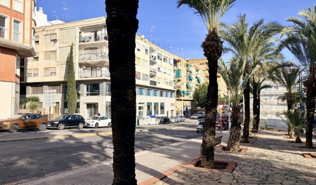 Apartment - Reventa - Elche -
                Costa Blanca