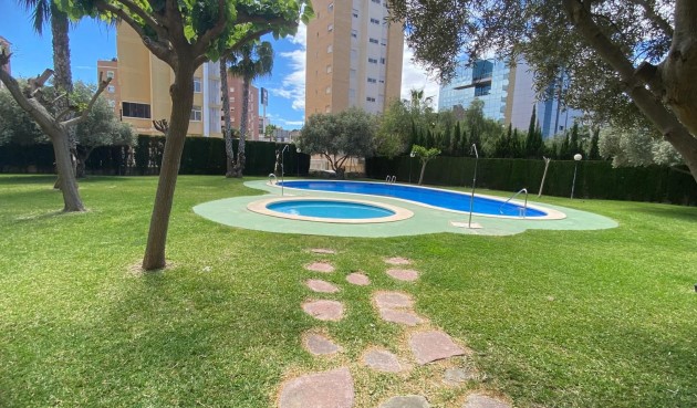 Apartment - Reventa - Guardamar del Segura - Costa Blanca