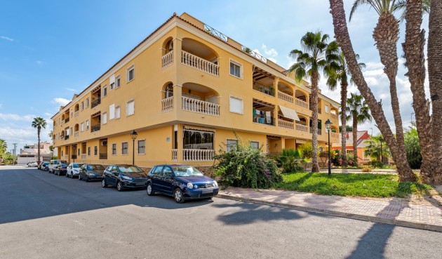 Apartment - Reventa - Jacarilla - Inland