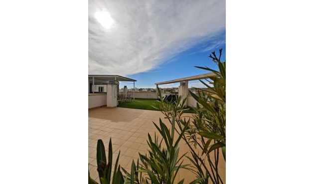 Apartment - Reventa - San Miguel de Salinas - Pueblo 9