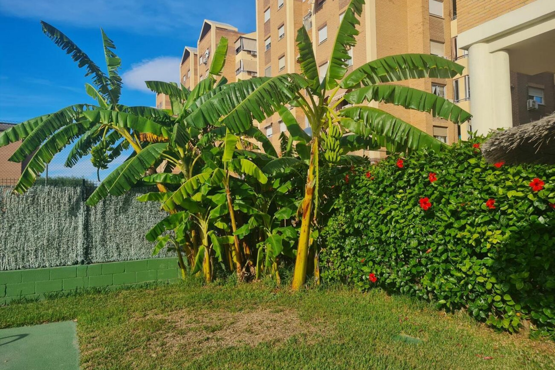 Återförsäljning - Apartment -
Alicante - Babel