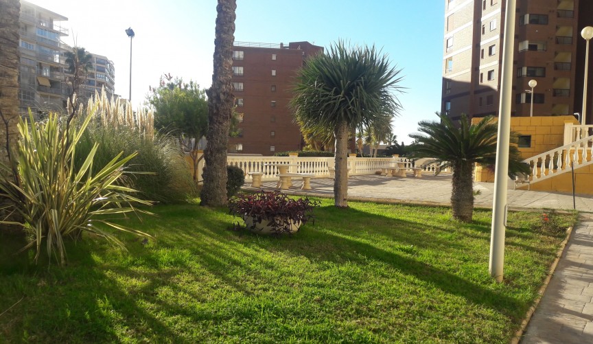 Återförsäljning - Apartment -
Benidorm - Costa Blanca