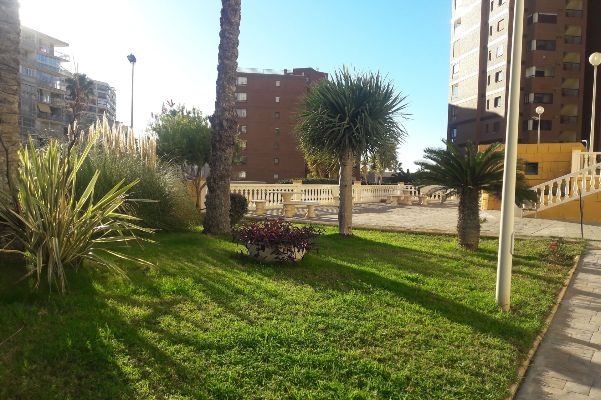 Återförsäljning - Apartment -
Benidorm - Costa Blanca