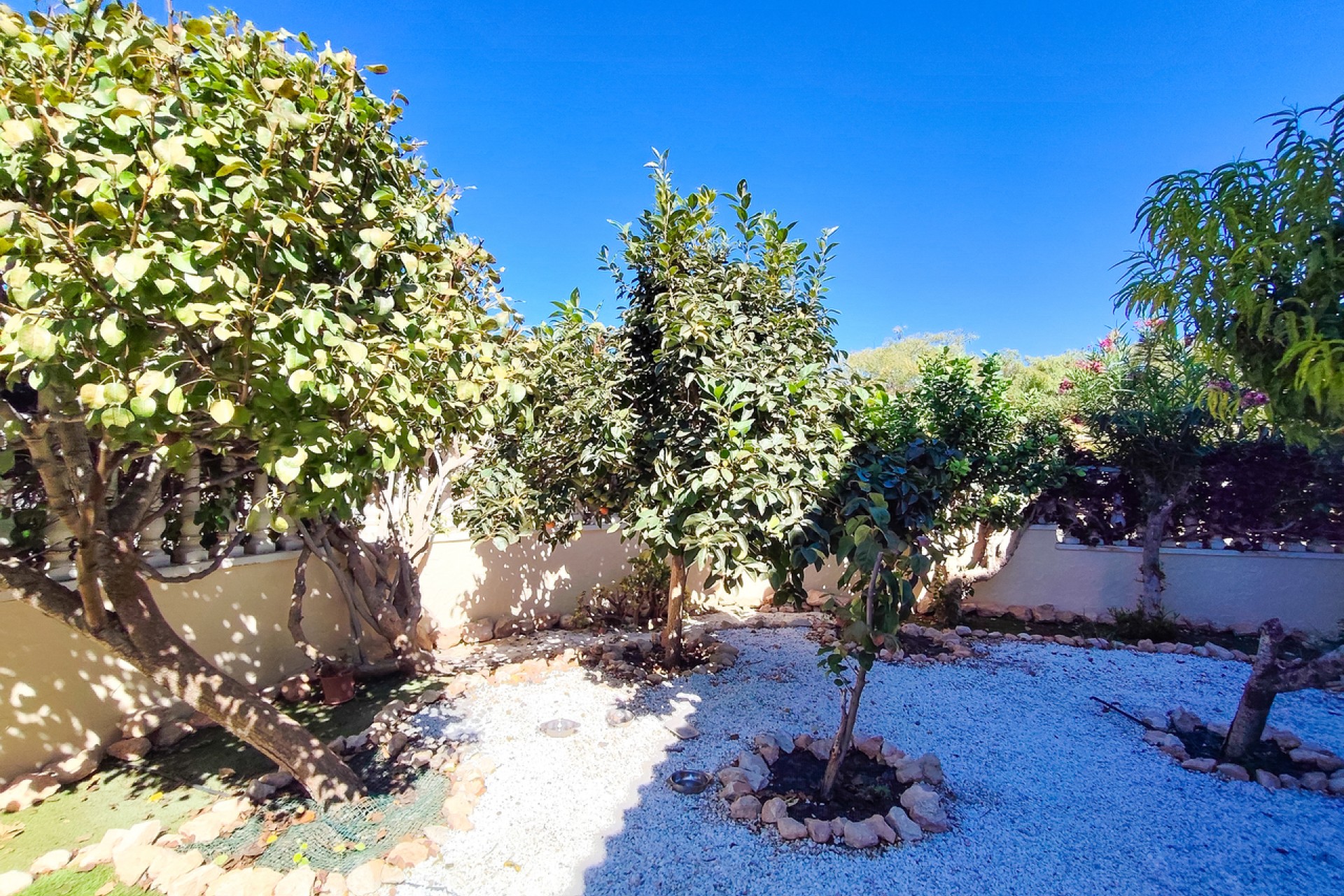 Återförsäljning - Apartment -
Cabo Roig - Costa Blanca