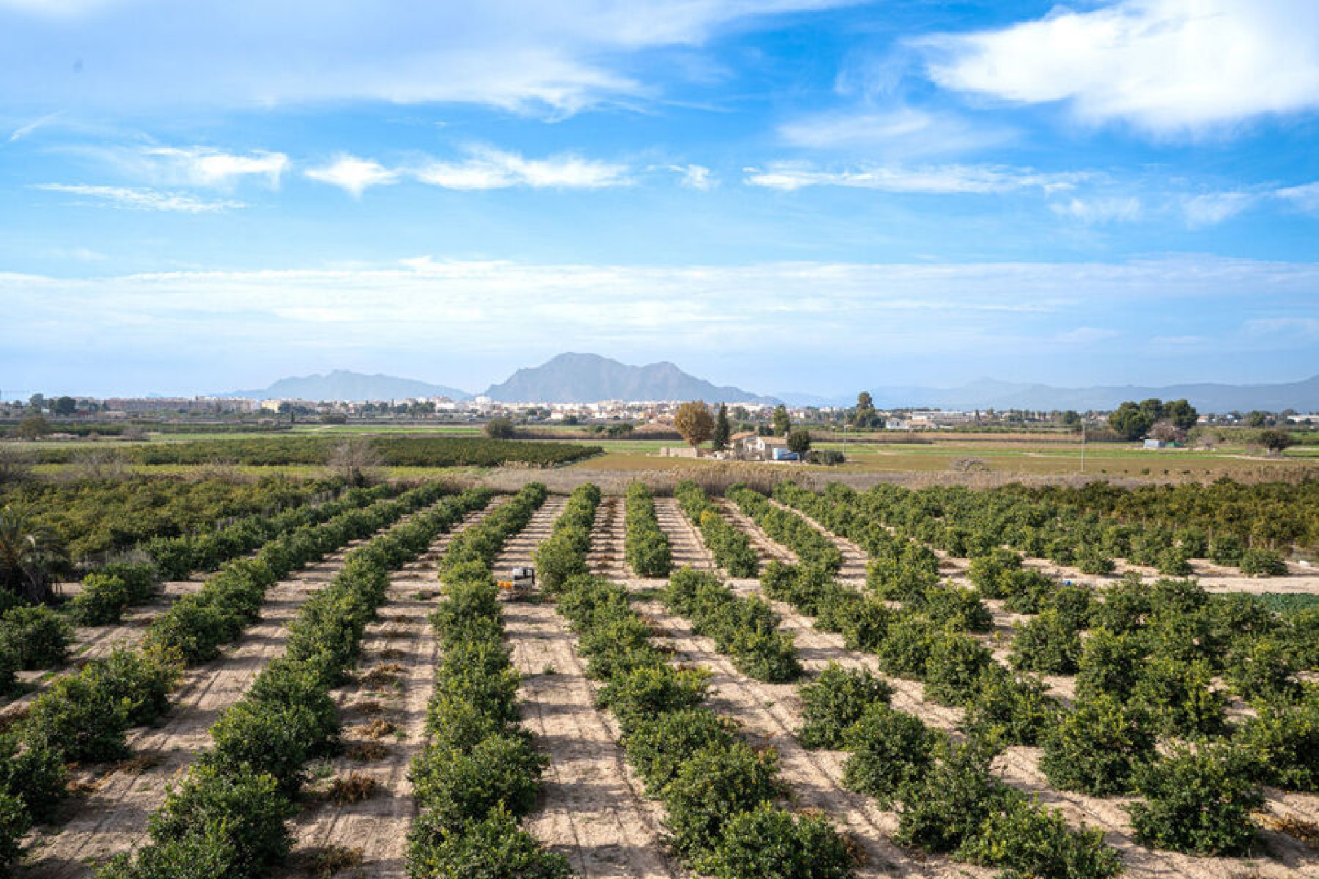 Återförsäljning - Apartment -
Daya Nueva - Costa Blanca