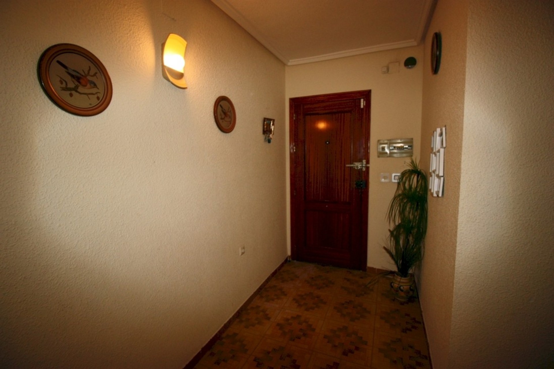 Återförsäljning - Apartment -
Guardamar del Segura - Costa Blanca