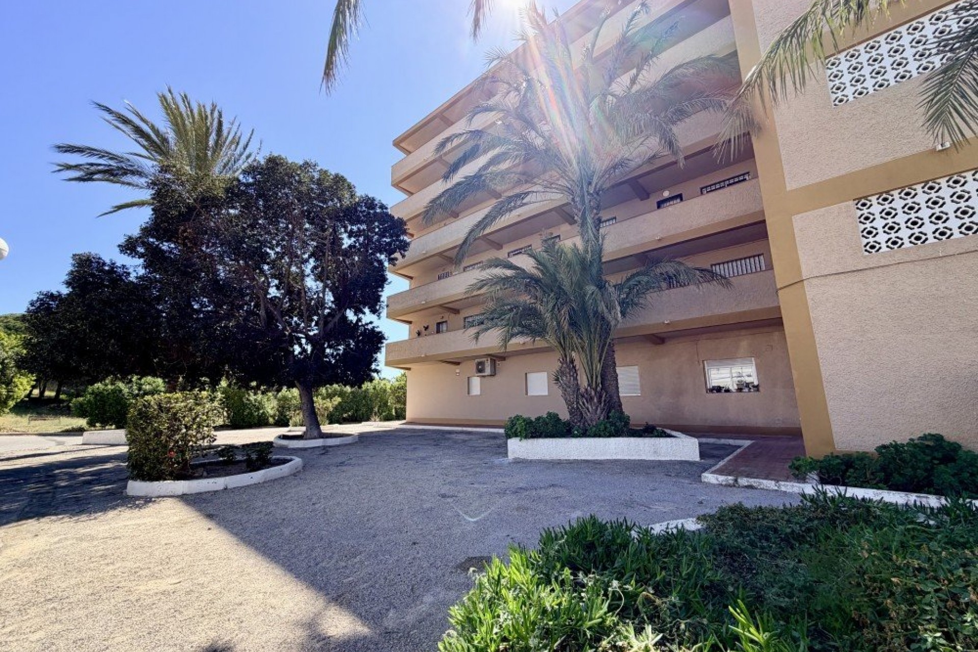Återförsäljning - Apartment -
Guardamar del Segura - Costa Blanca
