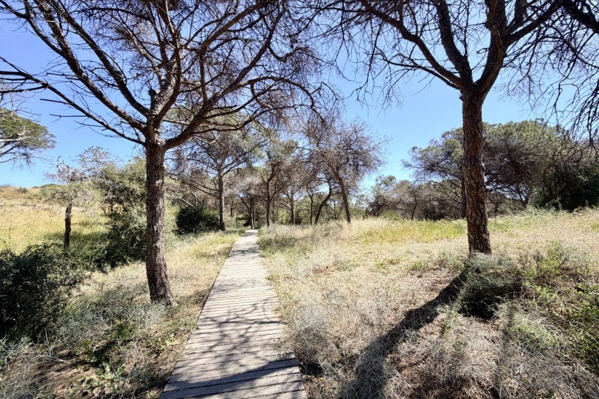 Återförsäljning - Apartment -
Guardamar del Segura - Costa Blanca