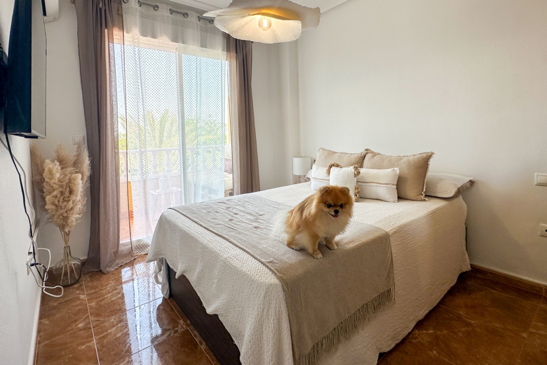 Återförsäljning - Apartment -
Guardamar del Segura - Costa Blanca