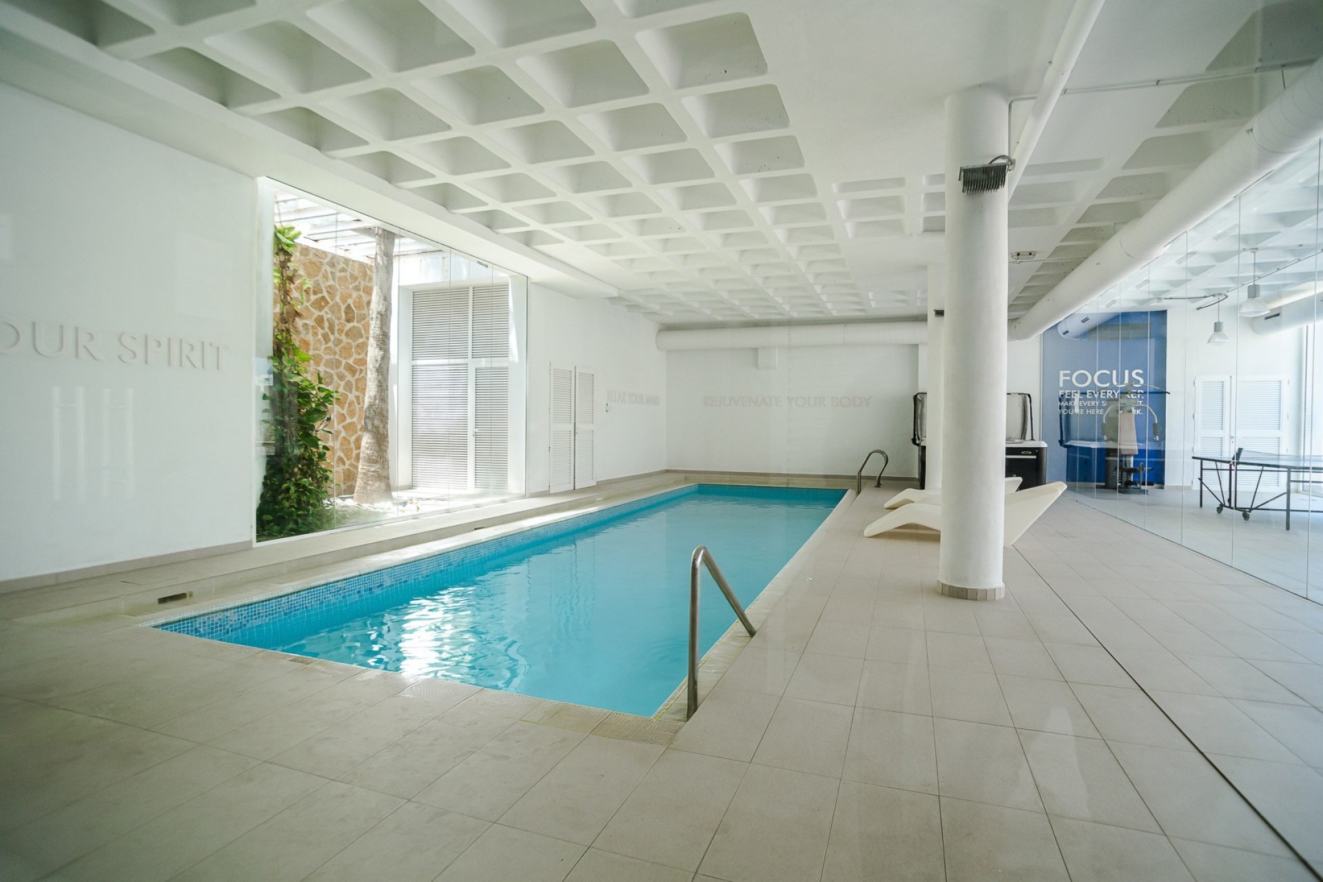 Återförsäljning - Apartment -
Guardamar del Segura - Costa Blanca