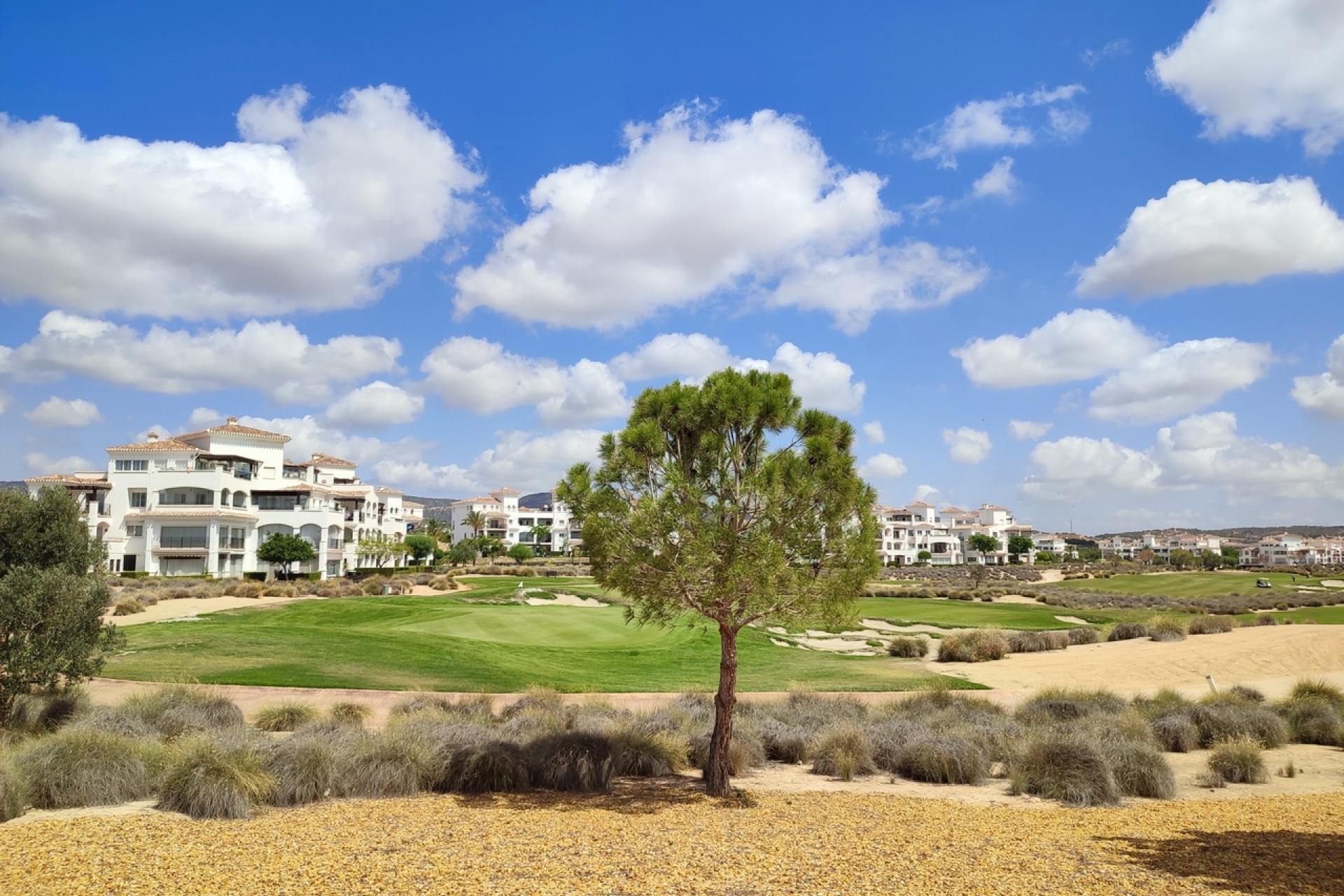 Återförsäljning - Apartment -
Hacienda Riquelme Golf Resort - Inland