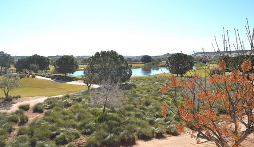 Återförsäljning - Apartment -
Hacienda Riquelme Golf Resort - Inland