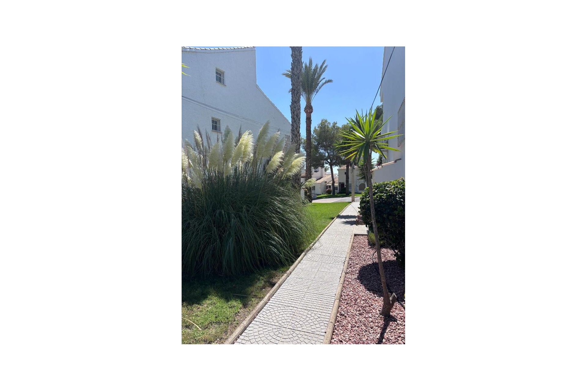 Återförsäljning - Apartment -
Los Dolses - Inland