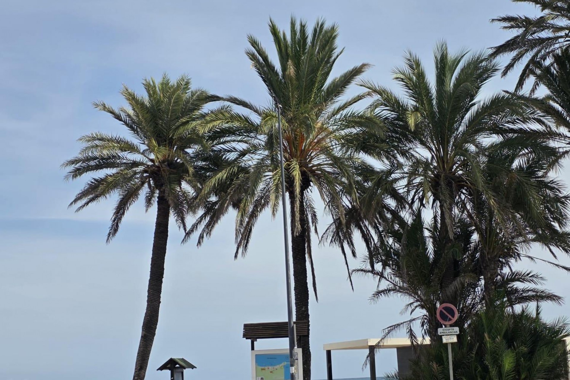 Återförsäljning - Apartment -
Orihuela Costa - Altos De Campoamor